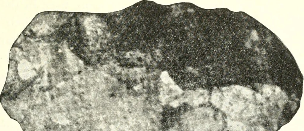 An illustration from Ohio archæological and historical quarterly, 1887, leaf 134