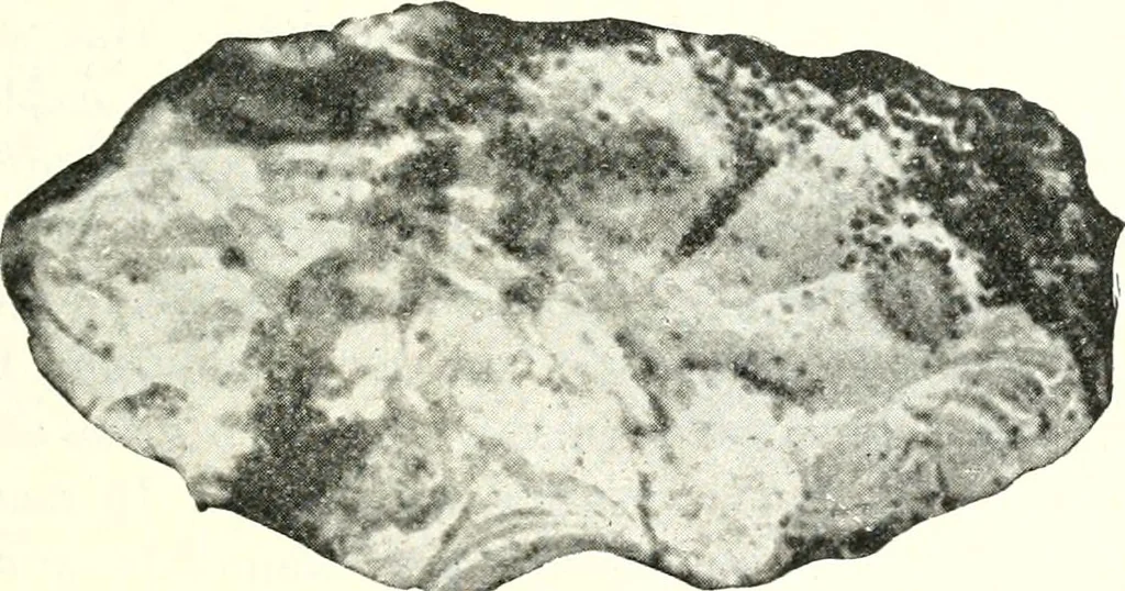An illustration from Ohio archæological and historical quarterly, 1887, leaf 134