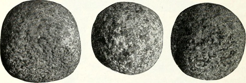 An illustration from Ohio archæological and historical quarterly, 1887, leaf 135