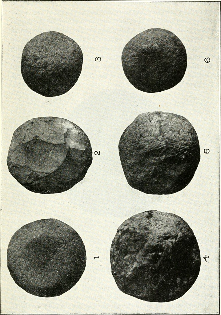 An illustration from Ohio archæological and historical quarterly, 1887, leaf 136