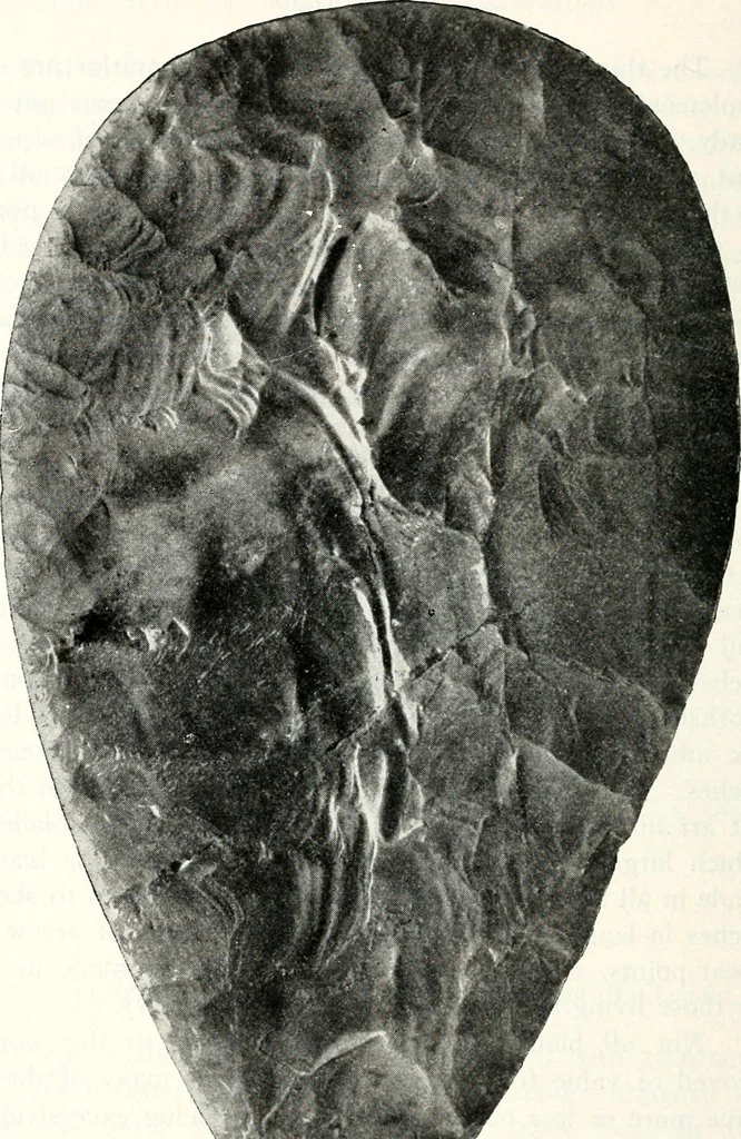 An illustration from Ohio archæological and historical quarterly, 1887, leaf 139