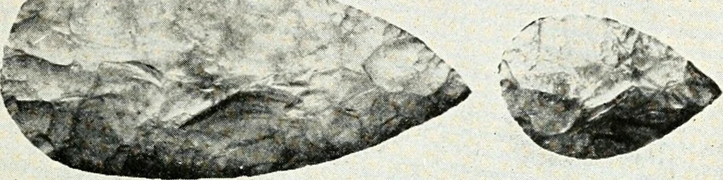 An illustration from Ohio archæological and historical quarterly, 1887, leaf 140