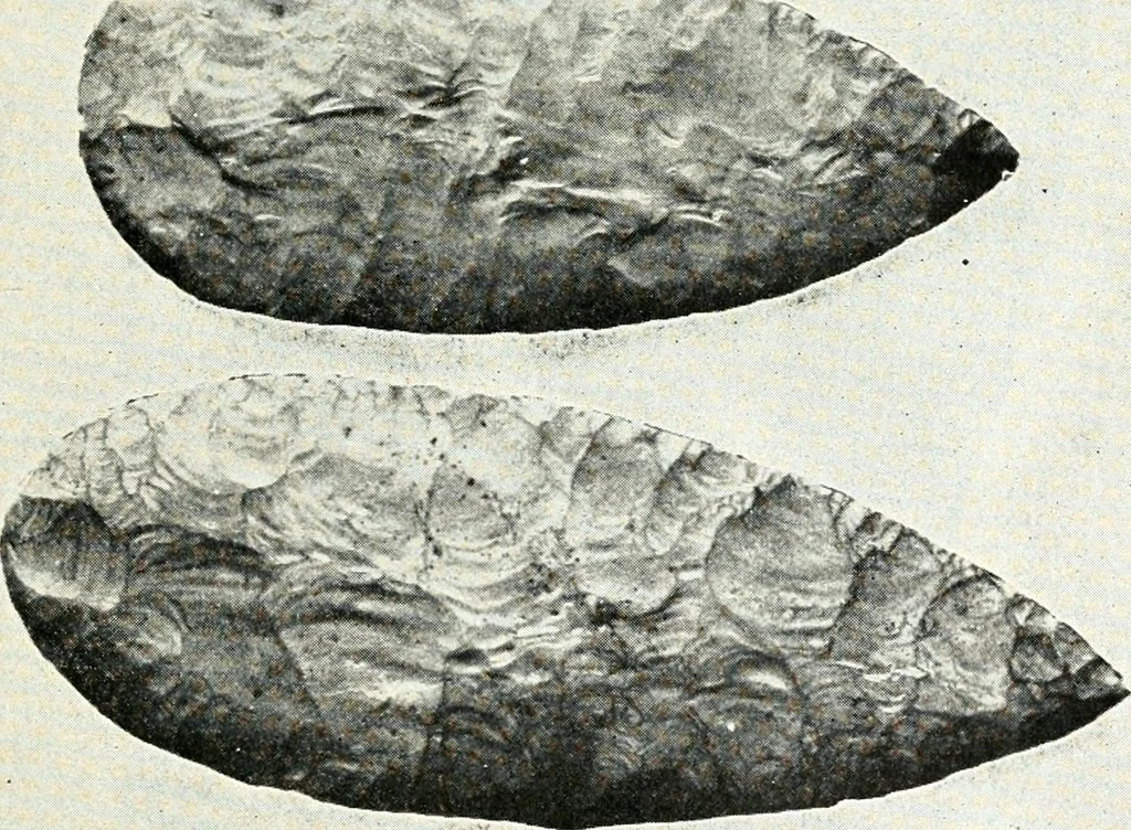 An illustration from Ohio archæological and historical quarterly, 1887, leaf 140