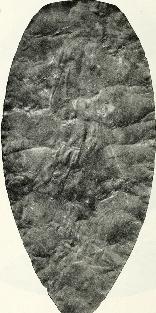 An illustration from Ohio archæological and historical quarterly, 1887, leaf 141