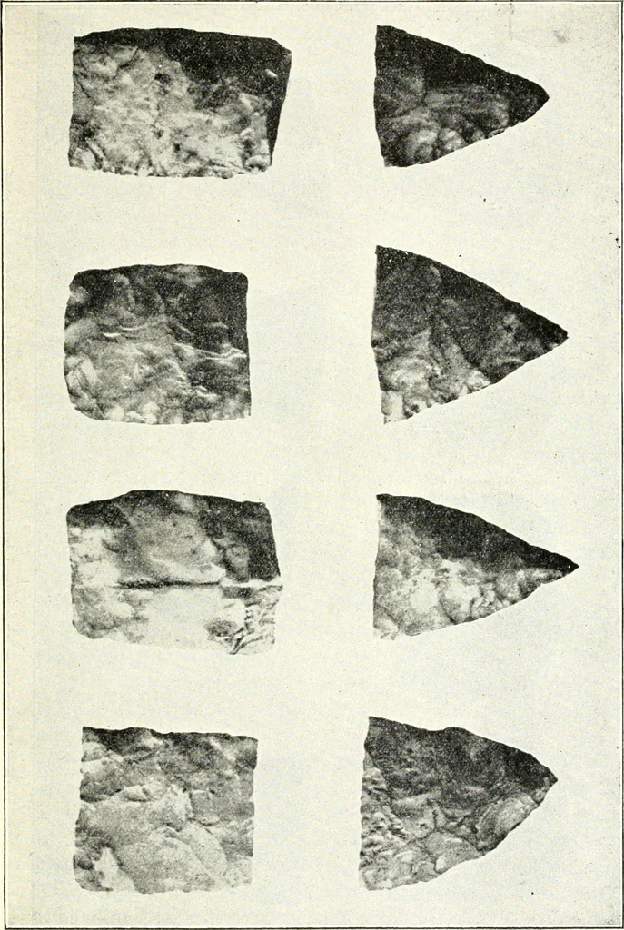 An illustration from Ohio archæological and historical quarterly, 1887, leaf 142