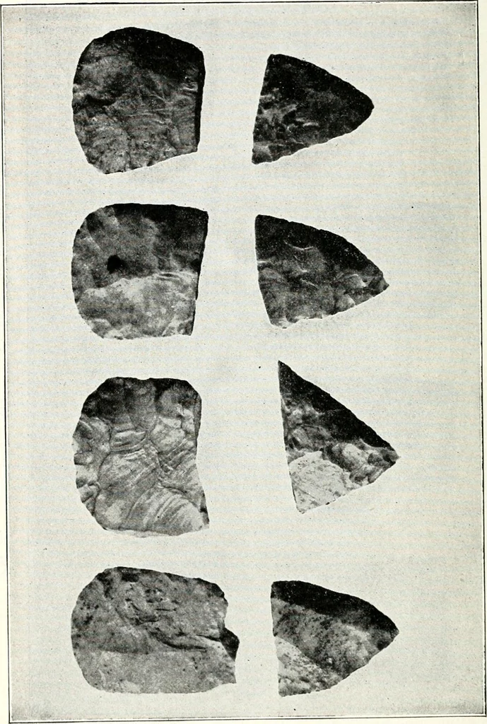 An illustration from Ohio archæological and historical quarterly, 1887, leaf 143