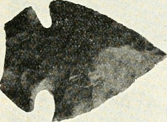 An illustration from Ohio archæological and historical quarterly, 1887, leaf 146