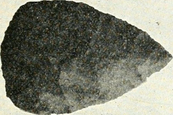 An illustration from Ohio archæological and historical quarterly, 1887, leaf 146