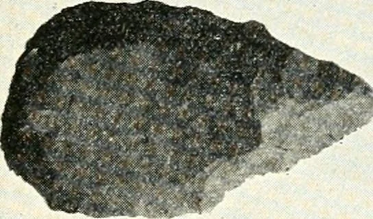 An illustration from Ohio archæological and historical quarterly, 1887, leaf 146
