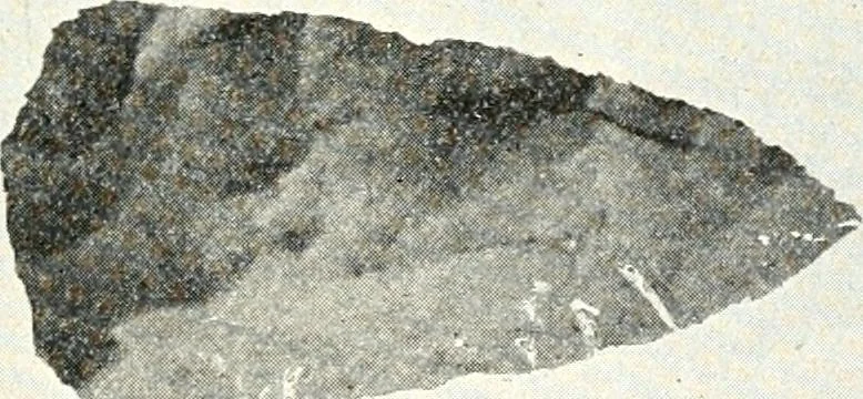 An illustration from Ohio archæological and historical quarterly, 1887, leaf 146