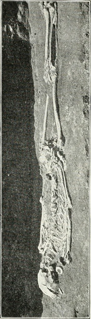 An illustration from Ohio archæological and historical quarterly, 1887, leaf 161