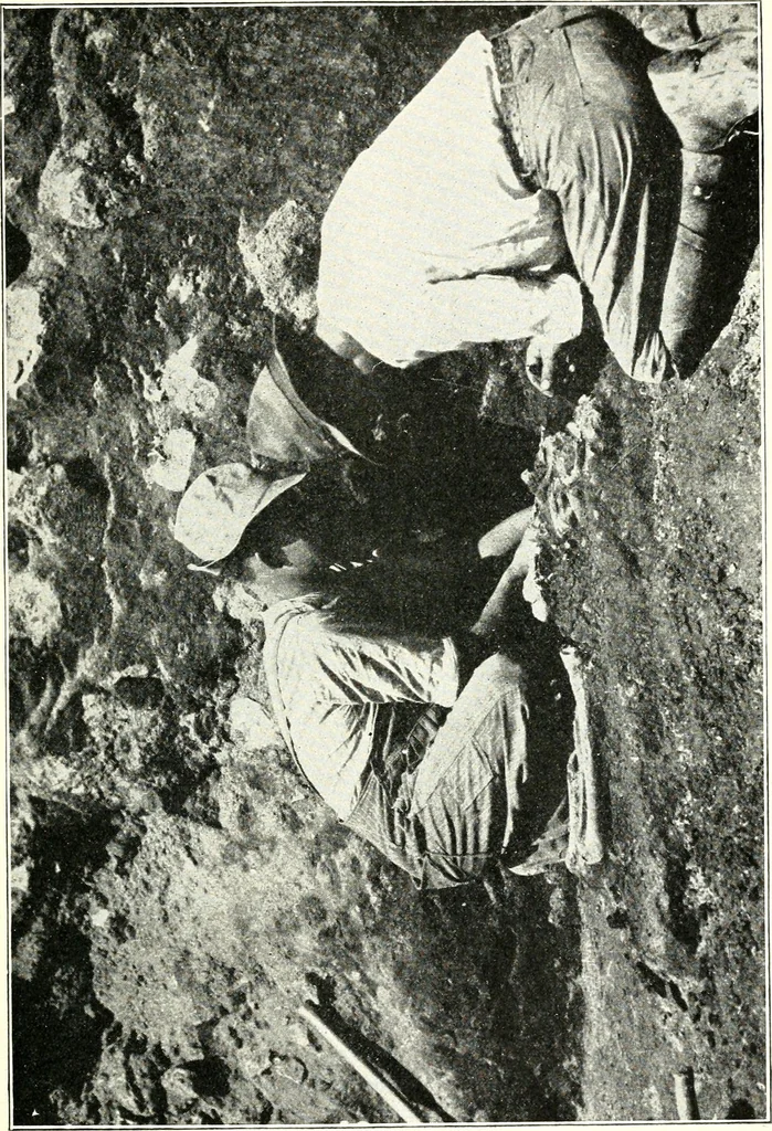 An illustration from Ohio archæological and historical quarterly, 1887, leaf 164