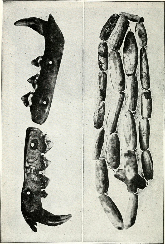 An illustration from Ohio archæological and historical quarterly, 1887, leaf 167