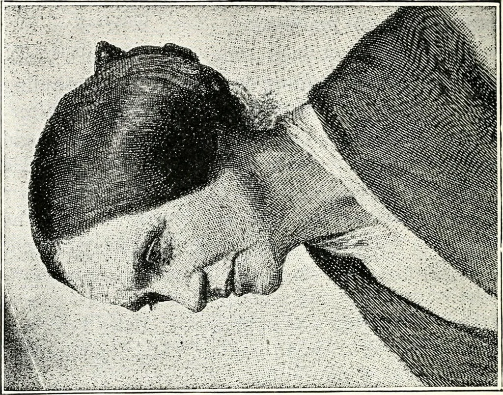 An illustration from Ohio archæological and historical quarterly, 1887, leaf 389