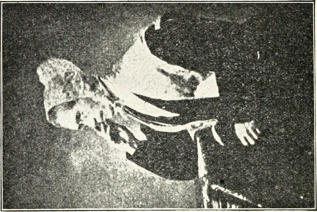 An illustration from Ohio archæological and historical quarterly, 1887, leaf 465
