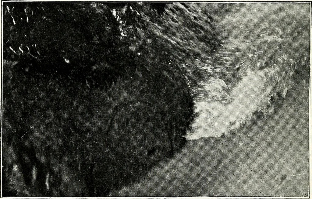 An illustration from Ohio archæological and historical quarterly, 1887, leaf 79