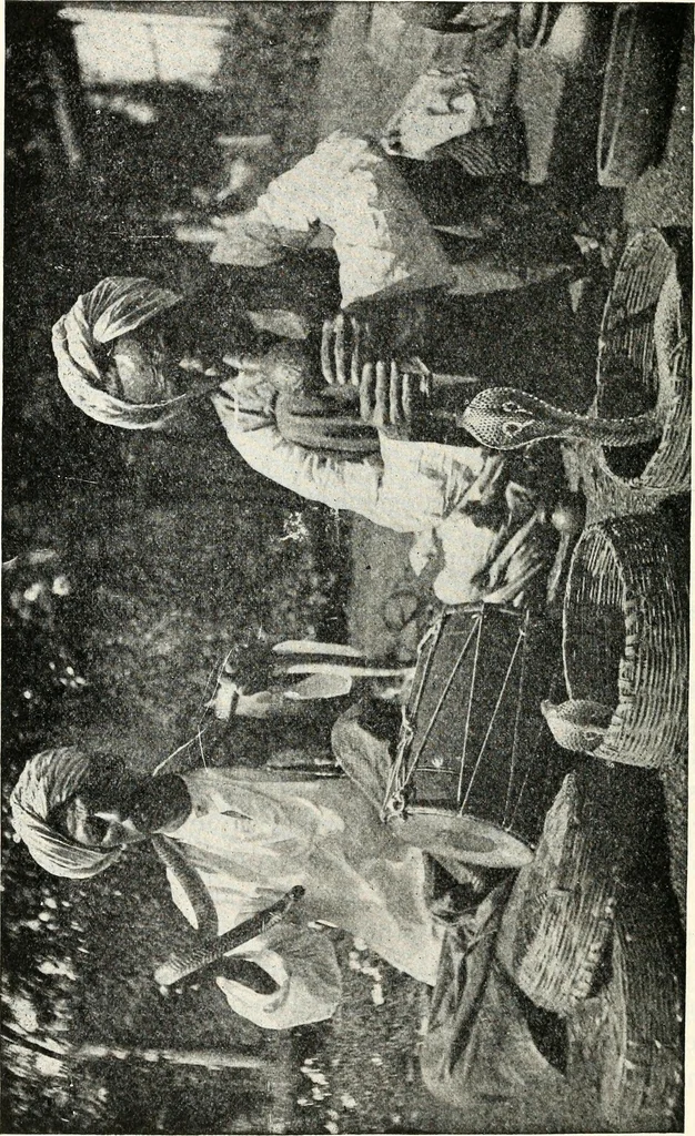 An illustration from Ohio archæological and historical quarterly, 1887, leaf 85