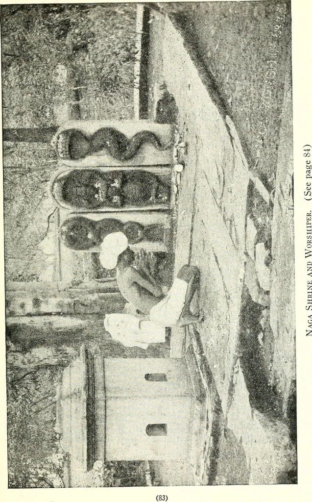 An illustration from Ohio archæological and historical quarterly, 1887, leaf 90