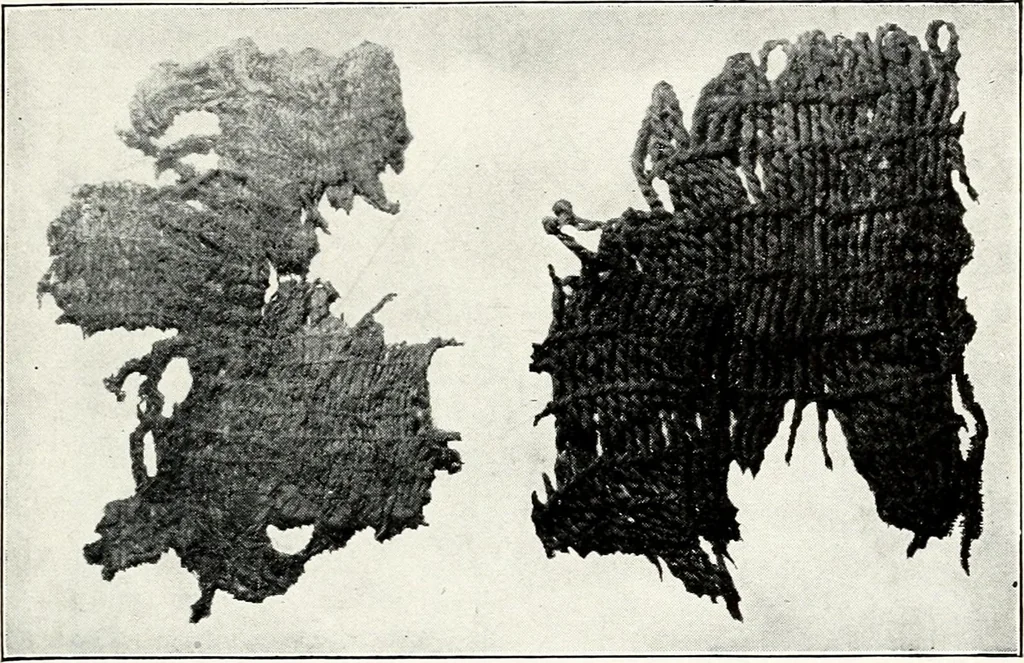 An illustration from Ohio archæological and historical quarterly, 1887, leaf 24