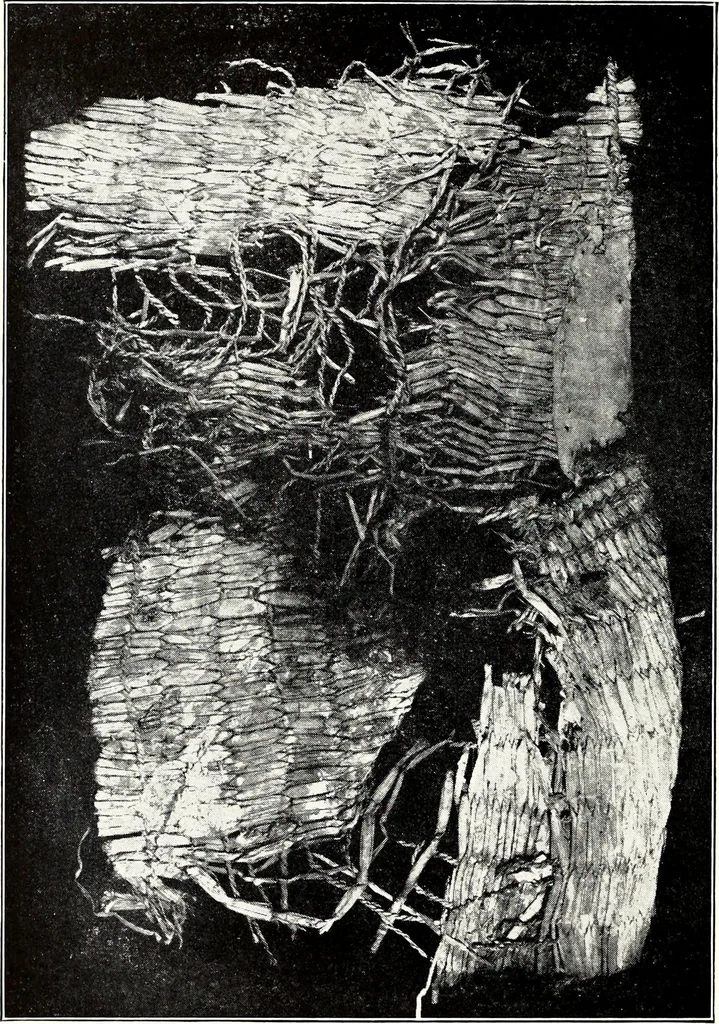 An illustration from Ohio archæological and historical quarterly, 1887, leaf 25