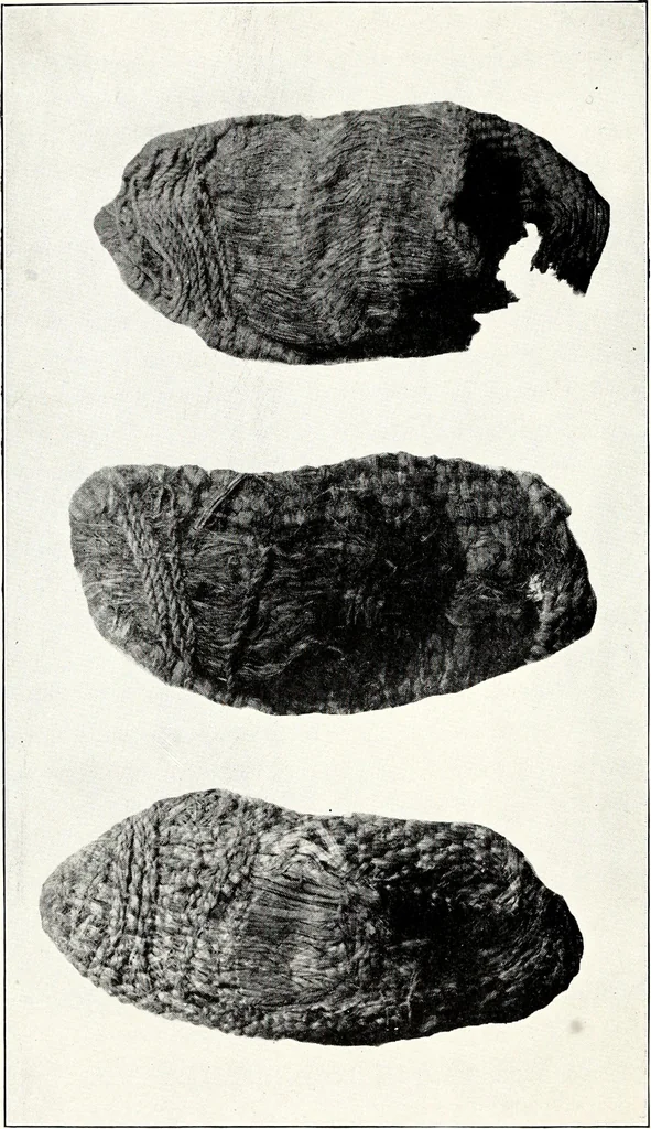 An illustration from Ohio archæological and historical quarterly, 1887, leaf 29