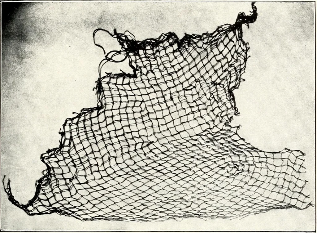 An illustration from Ohio archæological and historical quarterly, 1887, leaf 30