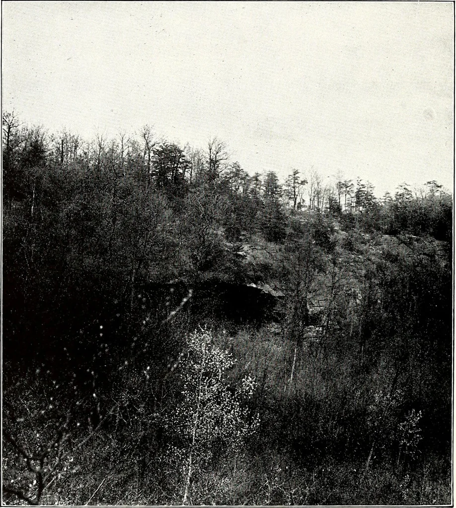 An illustration from Ohio archæological and historical quarterly, 1887, leaf 37