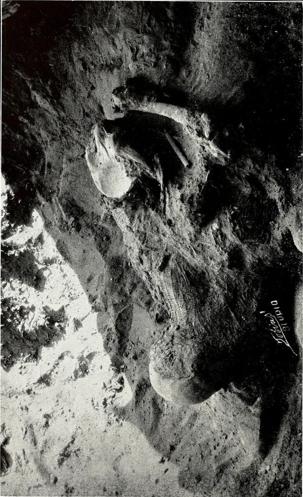 An illustration from Ohio archæological and historical quarterly, 1887, leaf 41