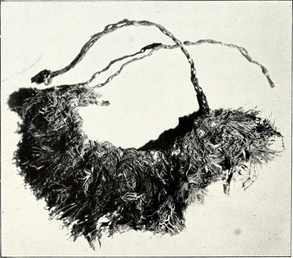 An illustration from Ohio archæological and historical quarterly, 1887, leaf 45