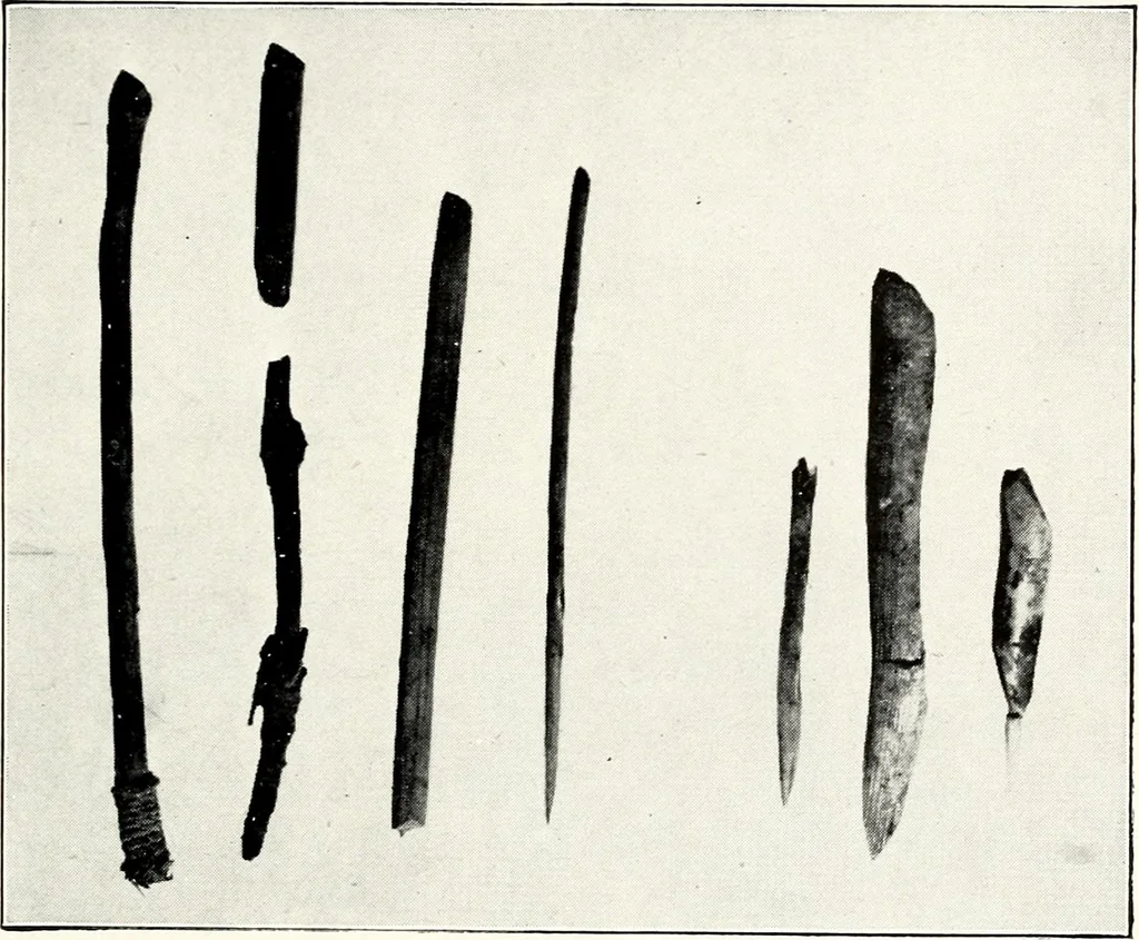 An illustration from Ohio archæological and historical quarterly, 1887, leaf 46
