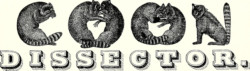 An illustration from Ohio archæological and historical quarterly, 1887, leaf 575