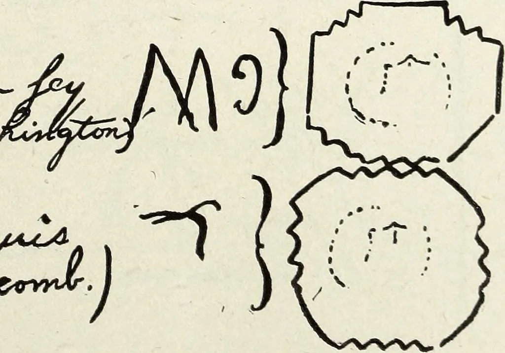 An illustration from Ohio archæological and historical quarterly, 1887, leaf 158