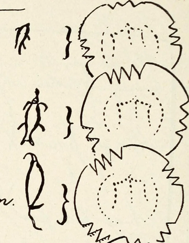 An illustration from Ohio archæological and historical quarterly, 1887, leaf 163