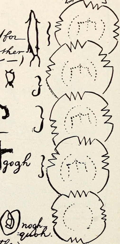 An illustration from Ohio archæological and historical quarterly, 1887, leaf 163