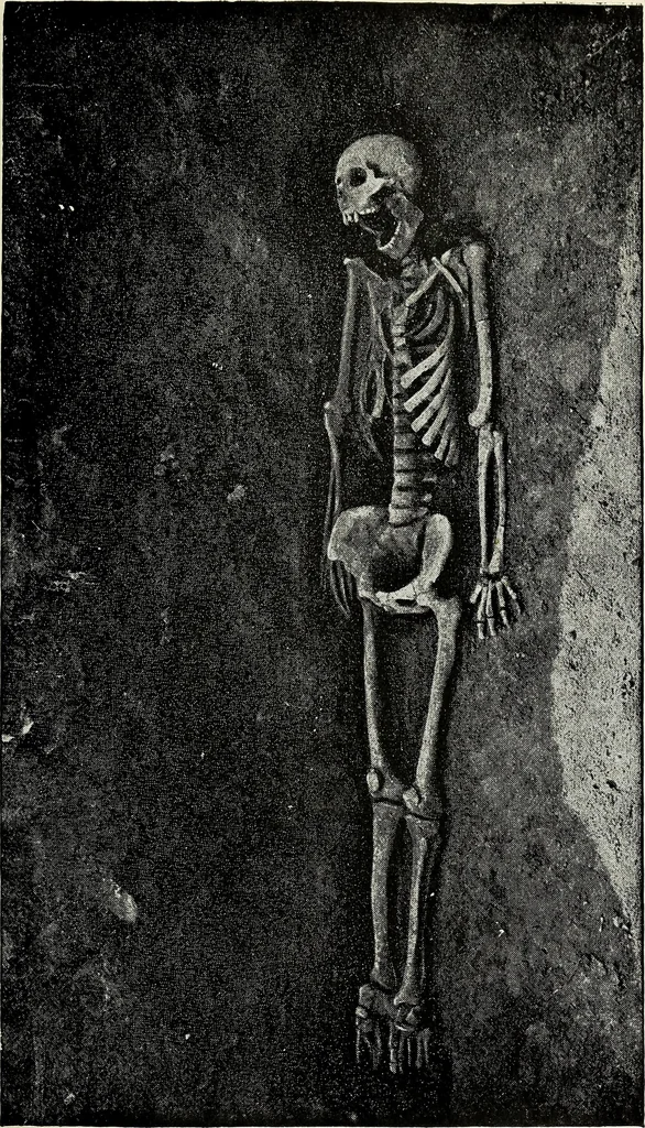 An illustration from Ohio archæological and historical quarterly, 1887, leaf 188