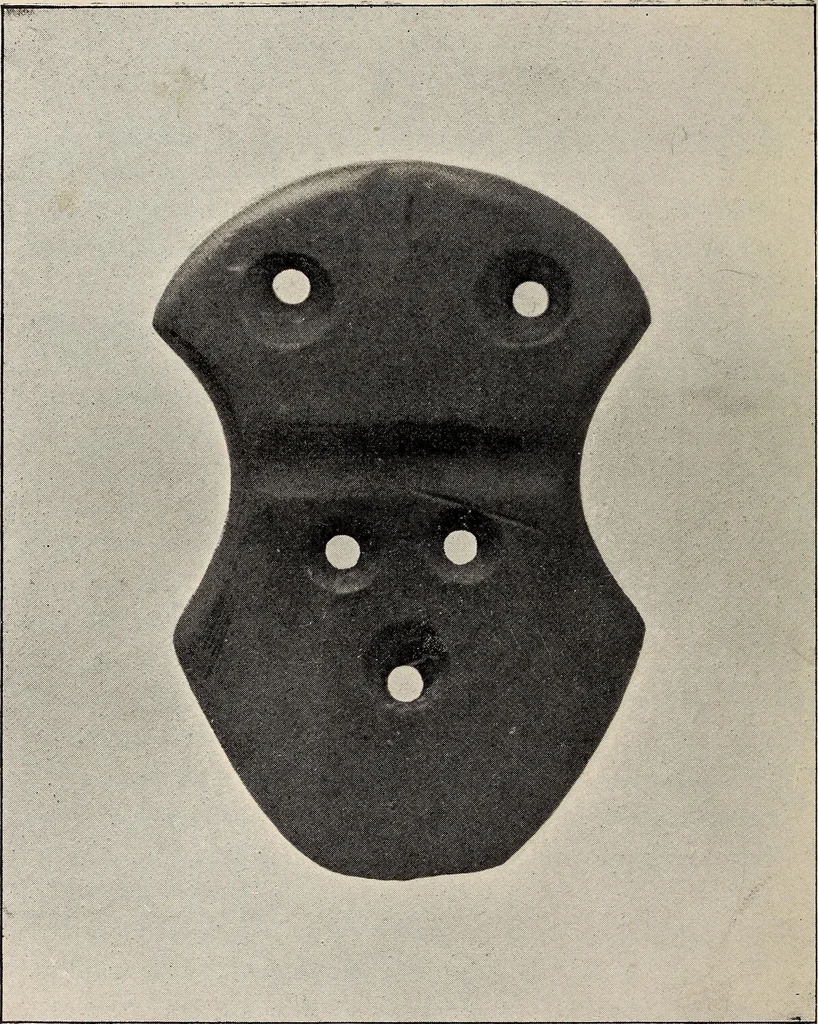An illustration from Ohio archæological and historical quarterly, 1887, leaf 19