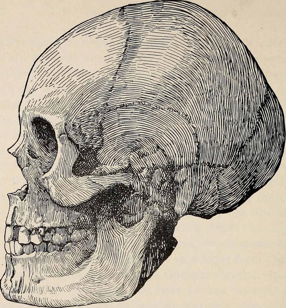 An illustration from Ohio archæological and historical quarterly, 1887, leaf 223