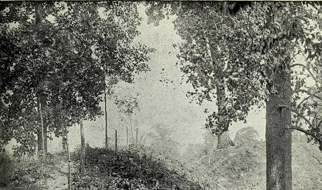 An illustration from Ohio archæological and historical quarterly, 1887, leaf 430