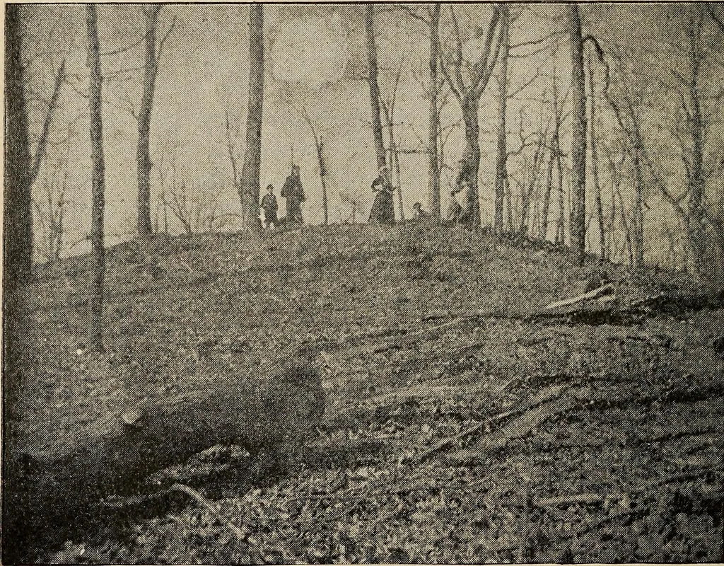 An illustration from Ohio archæological and historical quarterly, 1887, leaf 125