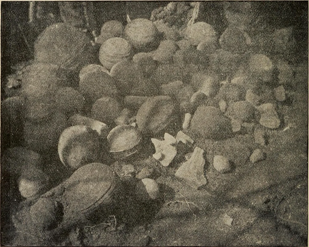 An illustration from Ohio archæological and historical quarterly, 1887, leaf 131