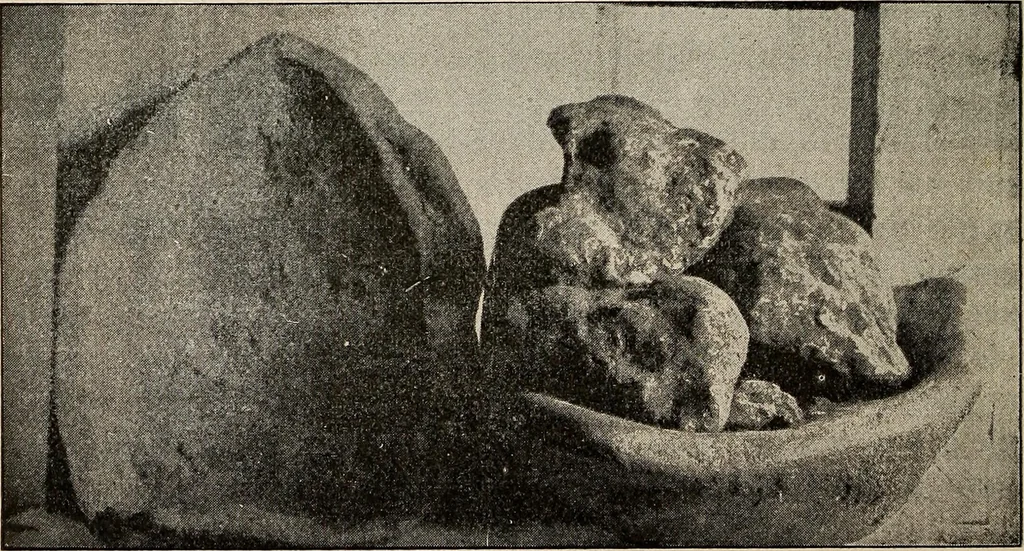 An illustration from Ohio archæological and historical quarterly, 1887, leaf 133