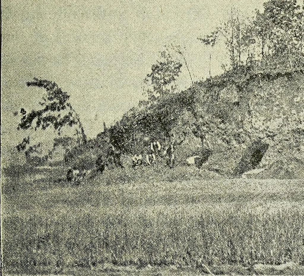 An illustration from Ohio archæological and historical quarterly, 1887, leaf 138