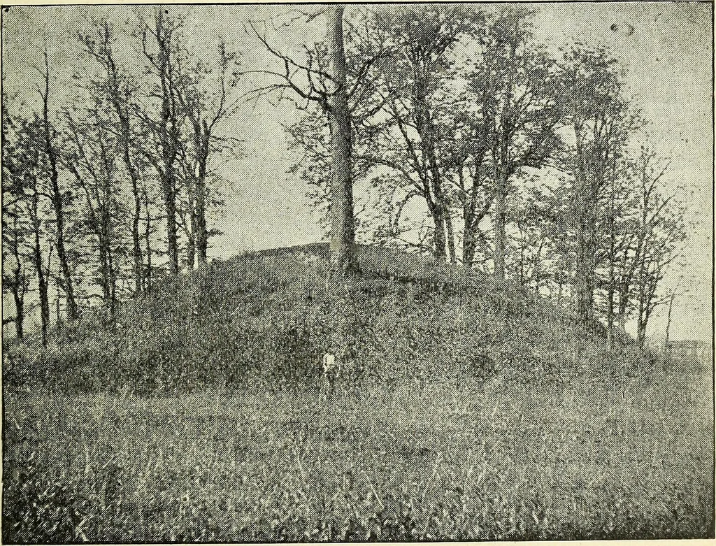 An illustration from Ohio archæological and historical quarterly, 1887, leaf 142