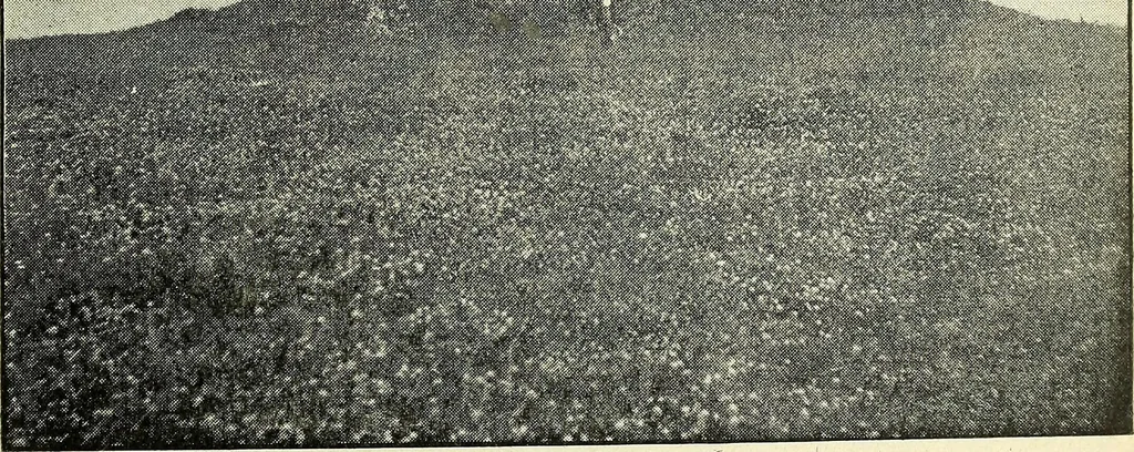An illustration from Ohio archæological and historical quarterly, 1887, leaf 148