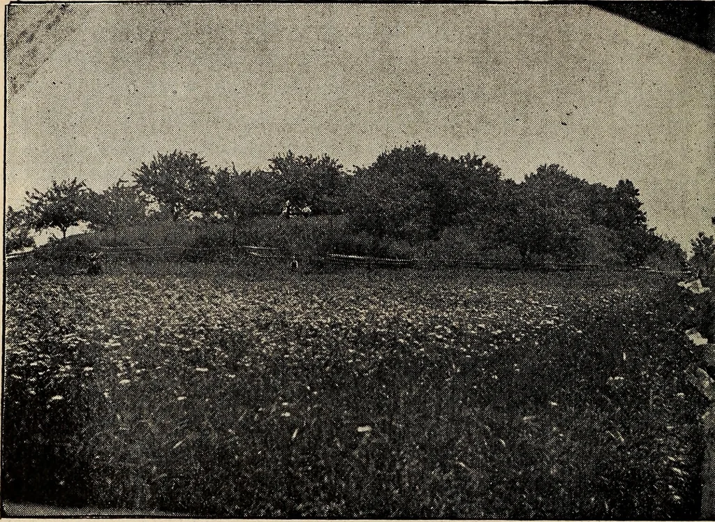 An illustration from Ohio archæological and historical quarterly, 1887, leaf 153