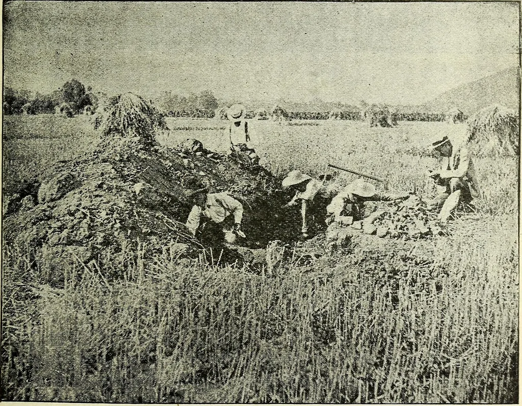An illustration from Ohio archæological and historical quarterly, 1887, leaf 156