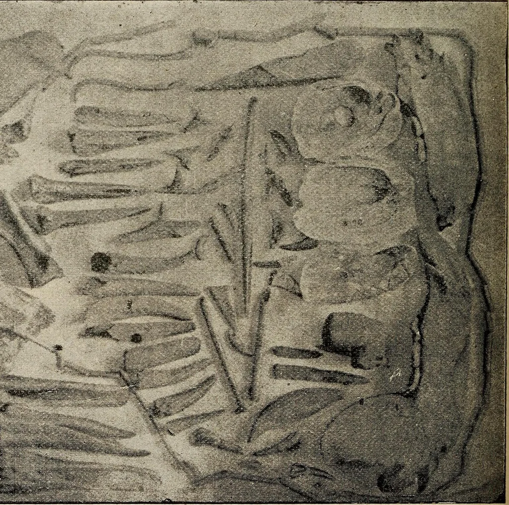 An illustration from Ohio archæological and historical quarterly, 1887, leaf 159