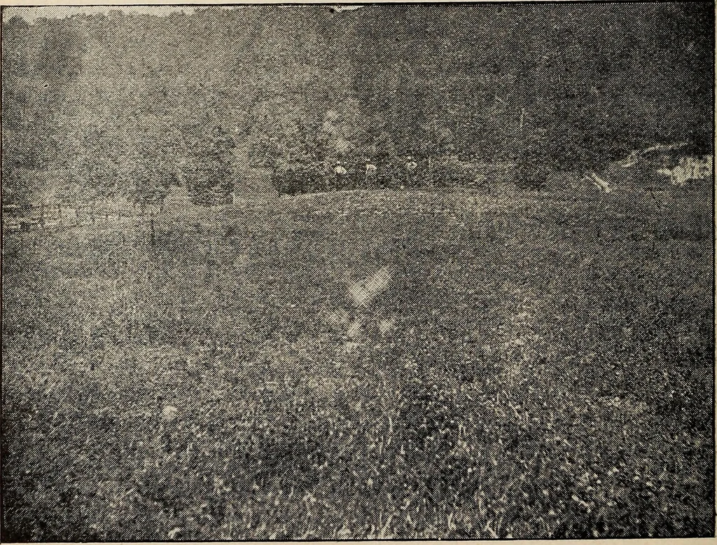 An illustration from Ohio archæological and historical quarterly, 1887, leaf 165