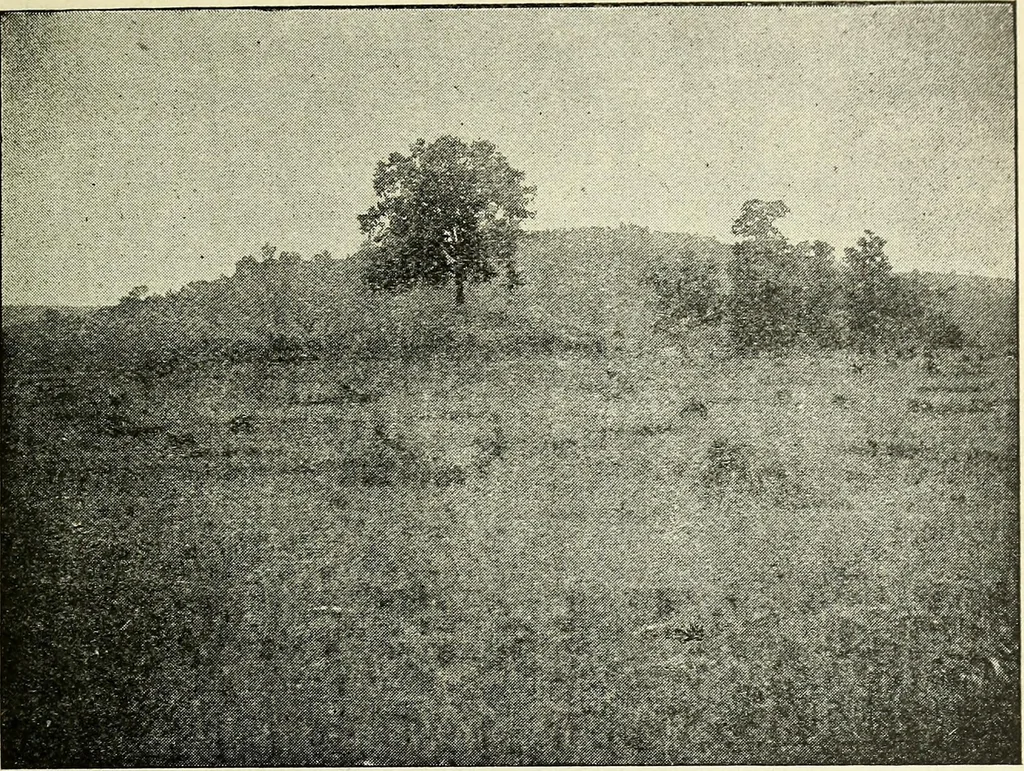 An illustration from Ohio archæological and historical quarterly, 1887, leaf 166