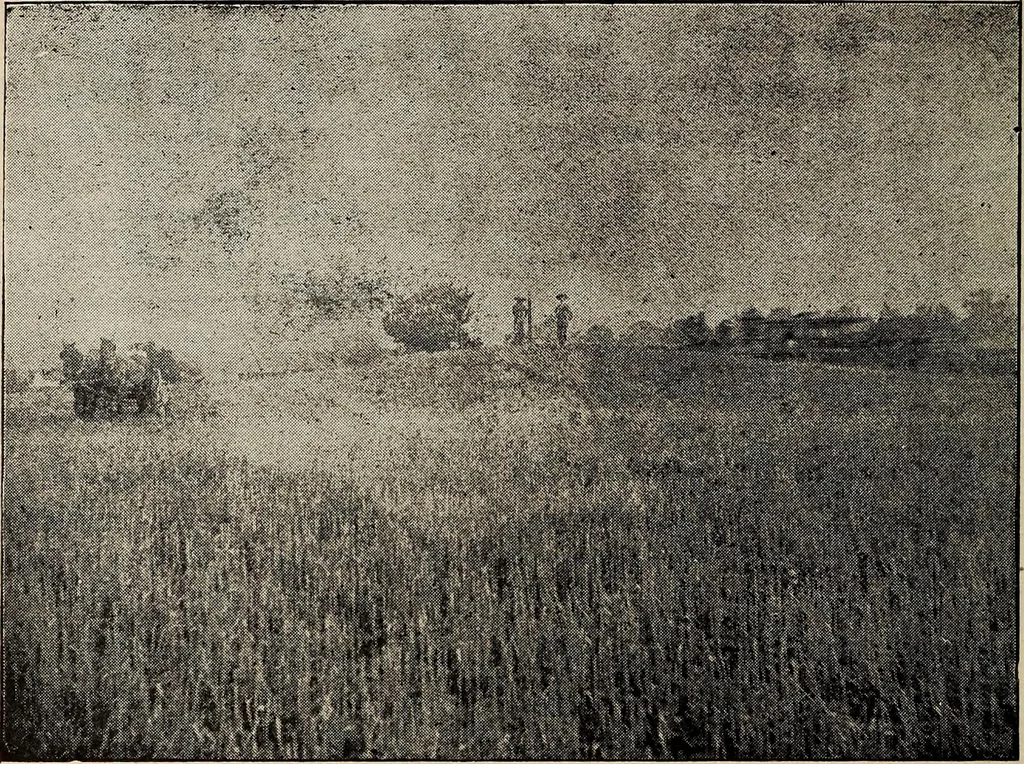 An illustration from Ohio archæological and historical quarterly, 1887, leaf 169